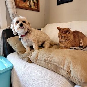 Meet your Posher, Heidi